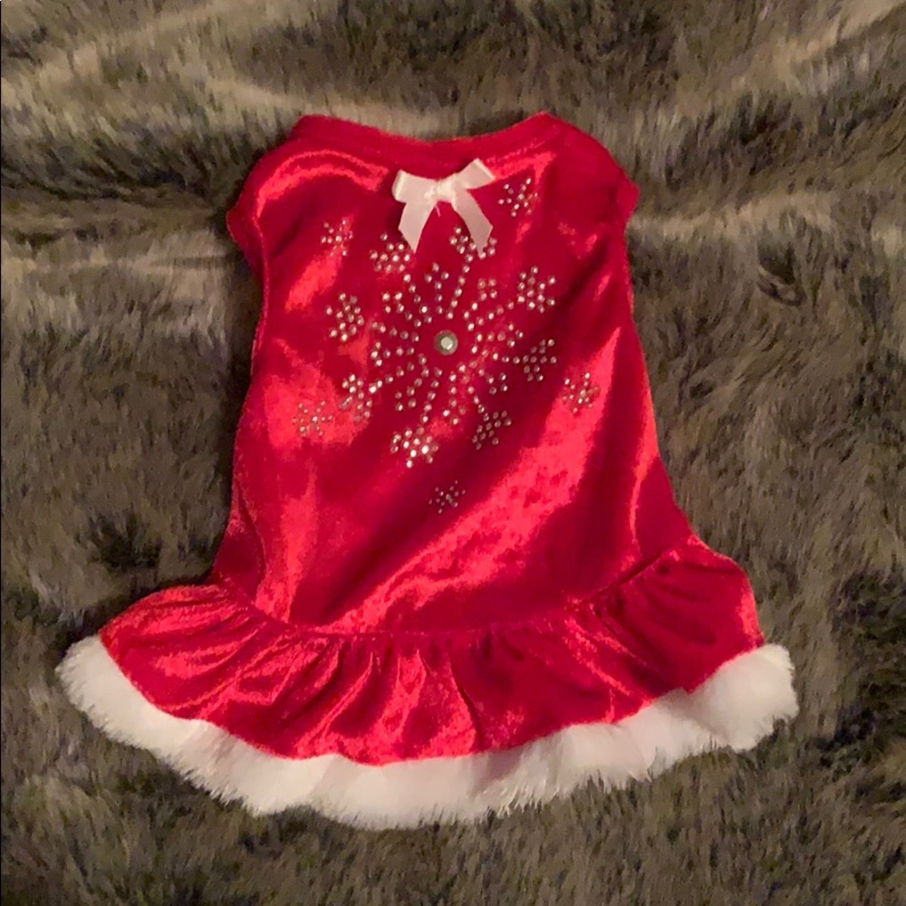 Christmas dog dress